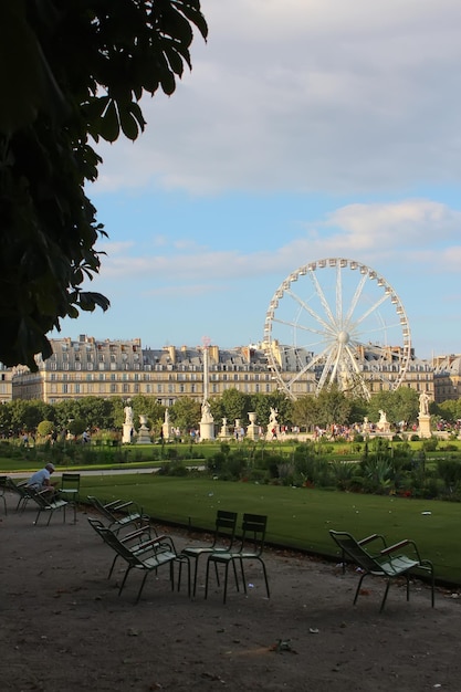 写真 パリ フランス 2019 年 8 月 26 日 チュイルリー公園またはチュイルリー庭園 パリ フランス