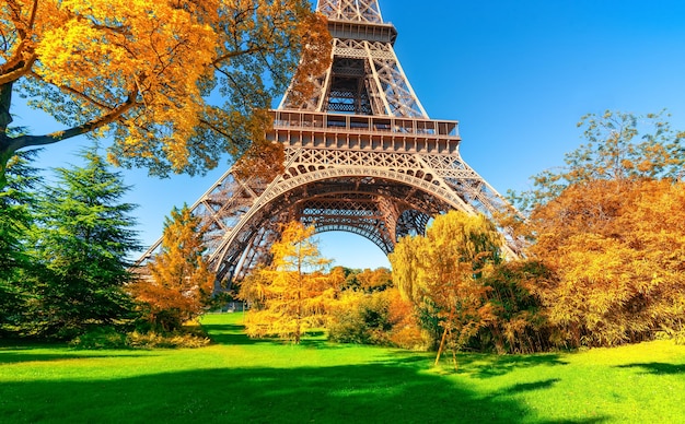 Park in autumn Paris