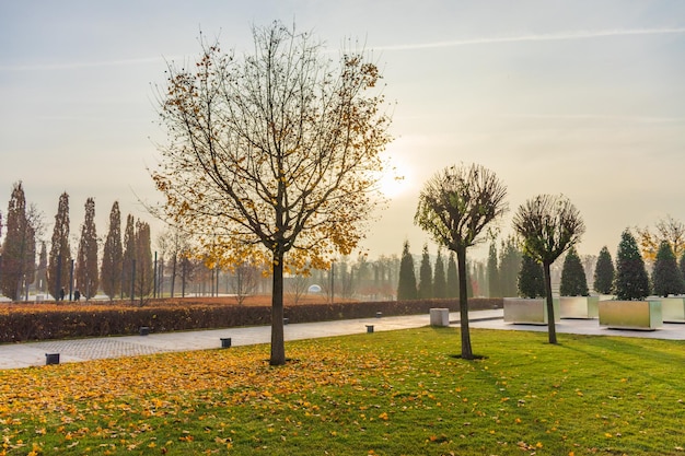 Park during autumn season