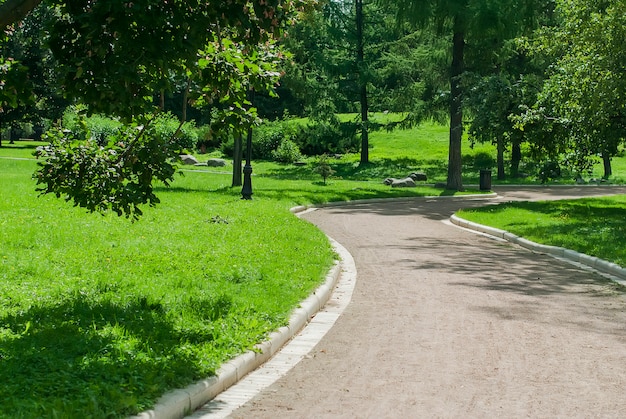 Panchina del parco e vicolo nel parco all'aperto