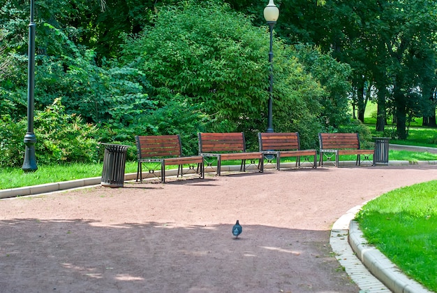 Foto panchina del parco e vicolo nel parco all'aperto