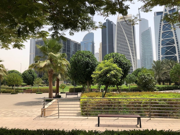 Photo park bench by buildings against sky in city