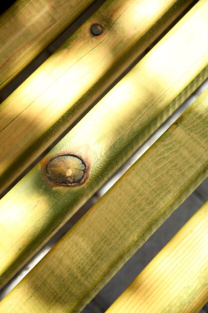 Park Bench Closeup