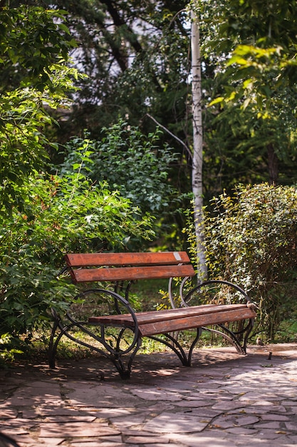 木と鋳鉄で作られた公園のベンチ、ベンチに座って、夏休み