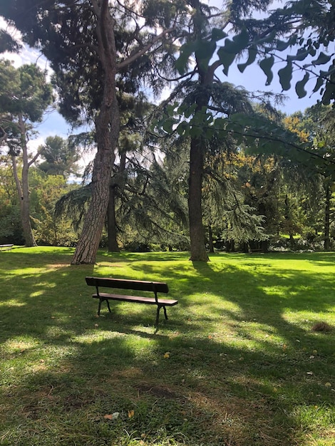 Photo a park bench in a park with trees in the background