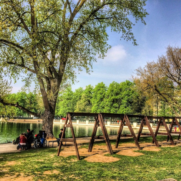 Foto panchina di parco nel parco