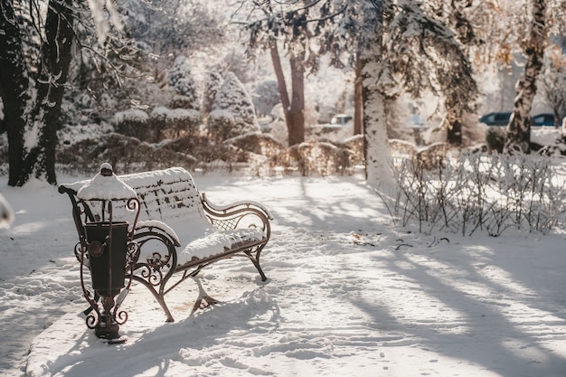 木の背景に雪の公園のベンチ