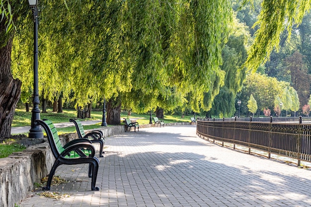 A park bench with a fence and a fence in the background