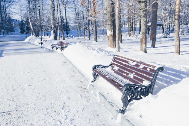 Park benches and trees covered by heavy snow in winter. Lots of snow.