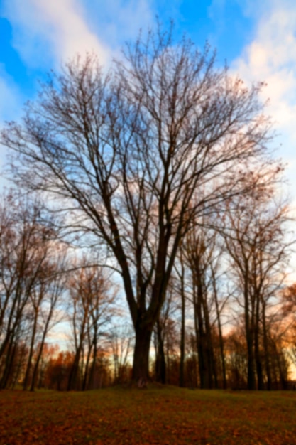 Park bij zonsondergang