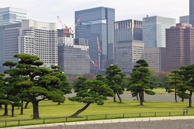 The park close the imperator palace Tokyo Japan