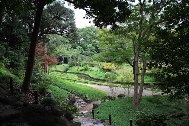 Парк в центре Токио Япония