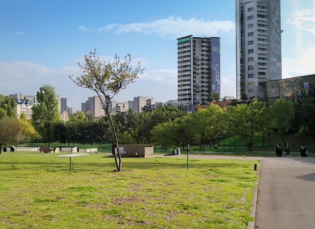 Foto park en gebouwen op de achtergrond generatieve ai