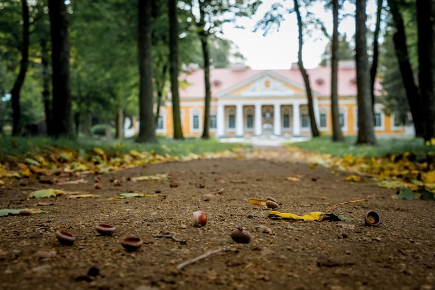 Park en landgoed in het dorp samchiki, district starokostyantynivsky, oekraïne. herfst