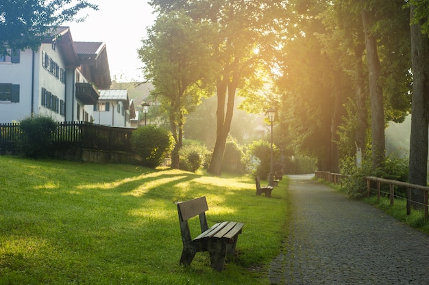 Park en mist in vroege ochtendzon