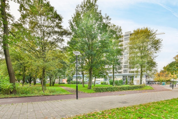 A park in front of a building with trees