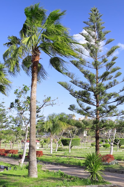 Park in Montaza Palace in Alexandrië, Egypte.