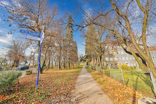 ポーランドのクウォツコの町の公園