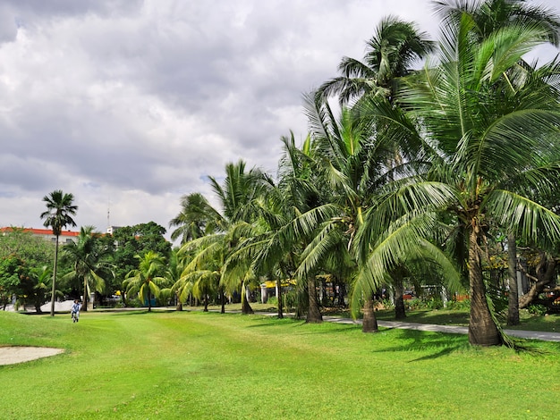 The park in Manila city, Philippines