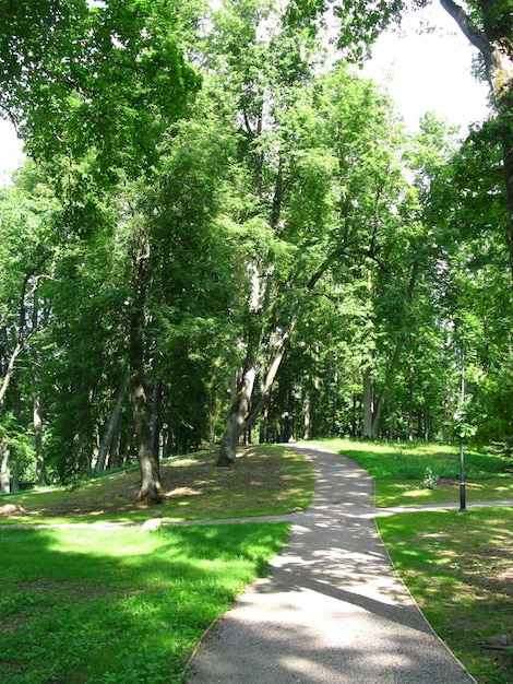 The park in the manor Estonia