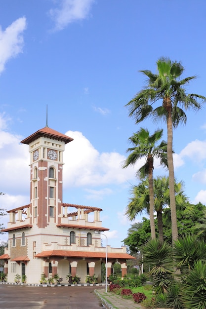 Park in Montaza Palace in Alexandria, Egypt.