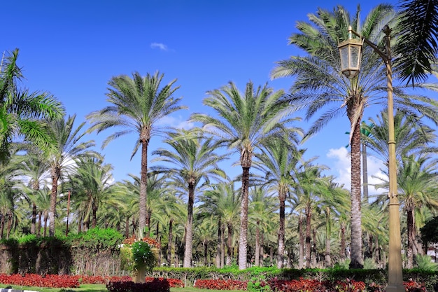 Park in Montaza Palace in Alexandria, Egypt.