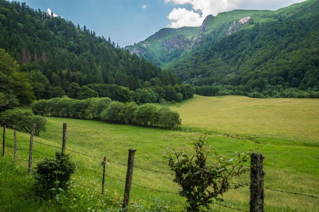 Park naturel regional des volcans d'auvergne