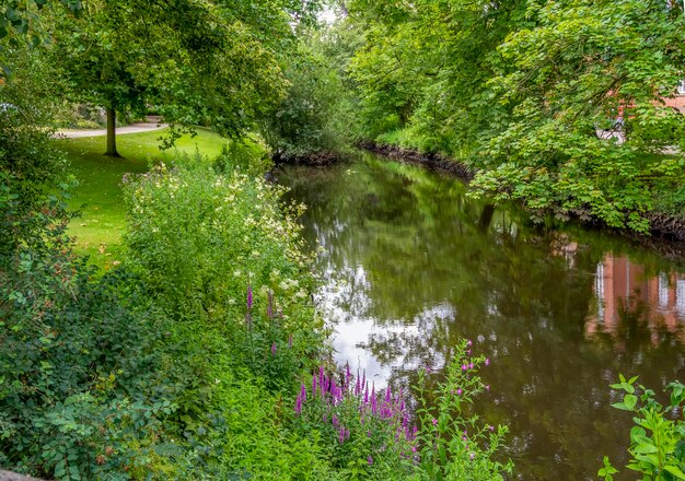 Photo park in oldenburg