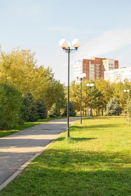 Photo a park path lined with spruce trees in the background are trees with yellowed autumn leaves golden sunlight