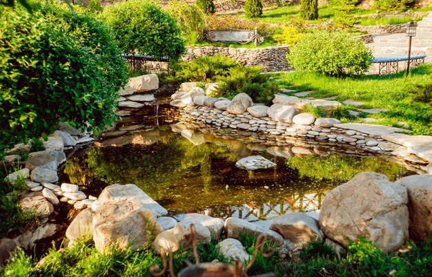 Park pond full of vegetation