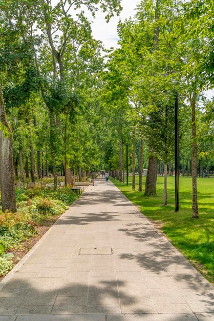 Park in Reims