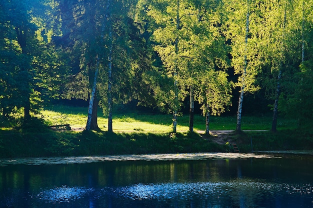 Park rivierlandschap achtergrond