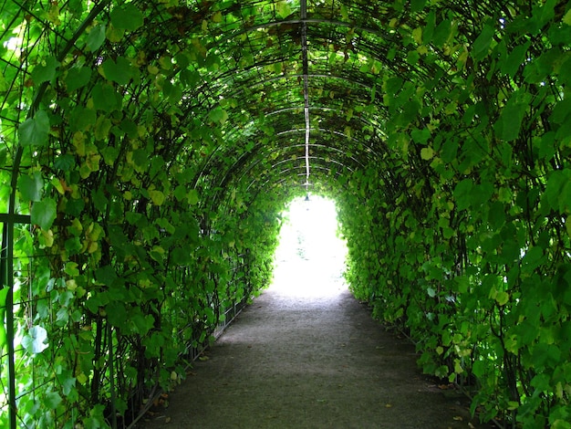 The park of Rundale palace in Latvia Baltic country