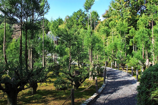 龍安寺京都の公園