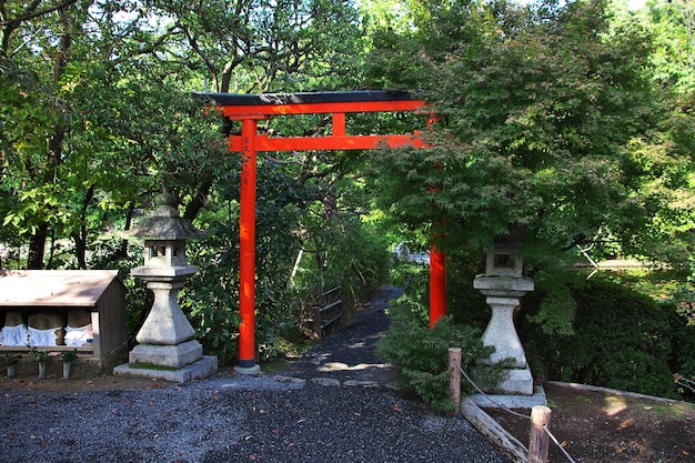 The park in Ryoanji Temple Kyoto Japan