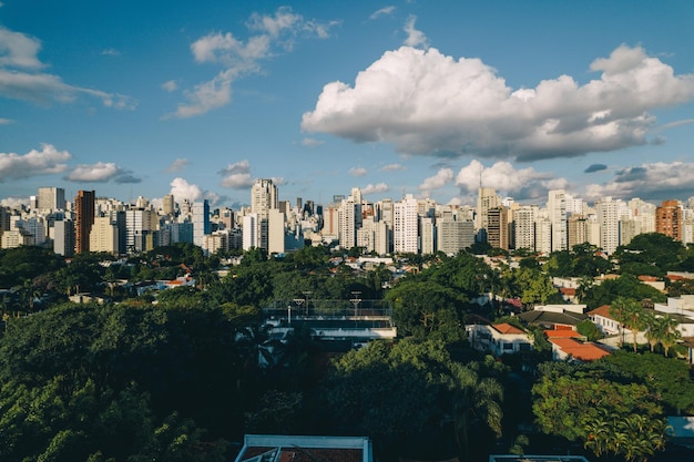 Park in Sao Paulo High quality photo