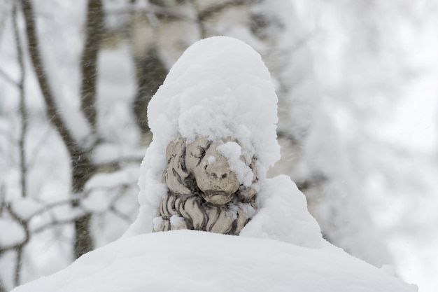 Foto parco scultura di un leone coperto di neve nella bufera di neve. vista ravvicinata