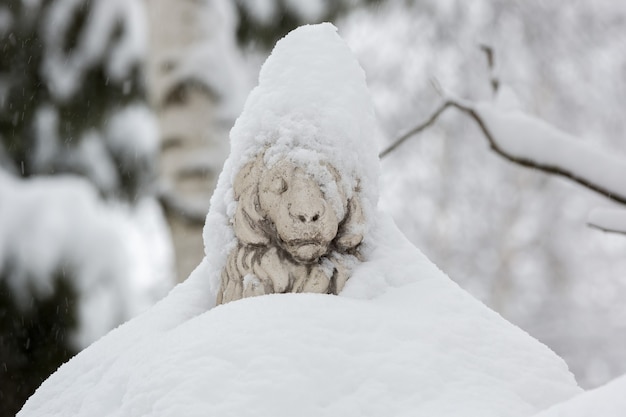 写真 吹雪の中の雪に覆われたライオンの公園の彫刻