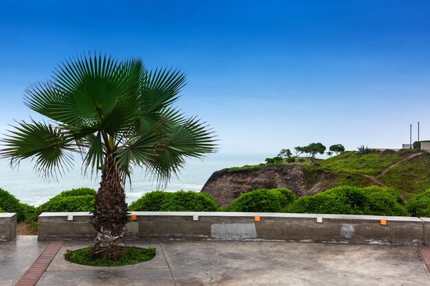 太平洋岸の公園