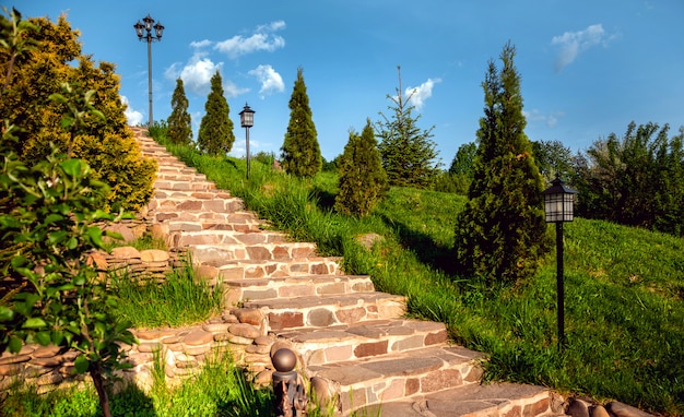 Park stairs full of vegetation