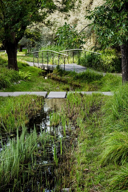 Photo the park stream and bridge