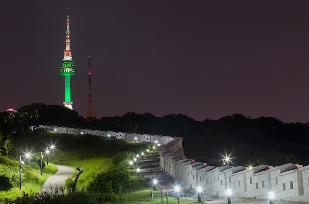 한국의 밤 공원과 탑