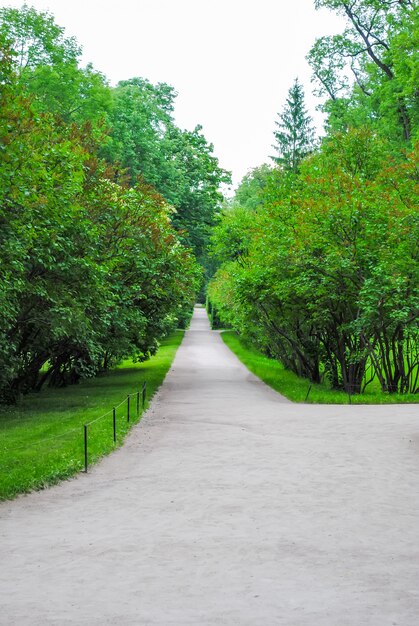 Парк Царского Села в Санкт-Петербурге