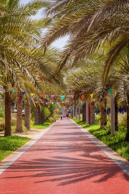 Park for walking and sports in Palm Jumeirah in Dubai