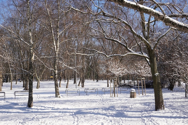 Park in winter at daytime