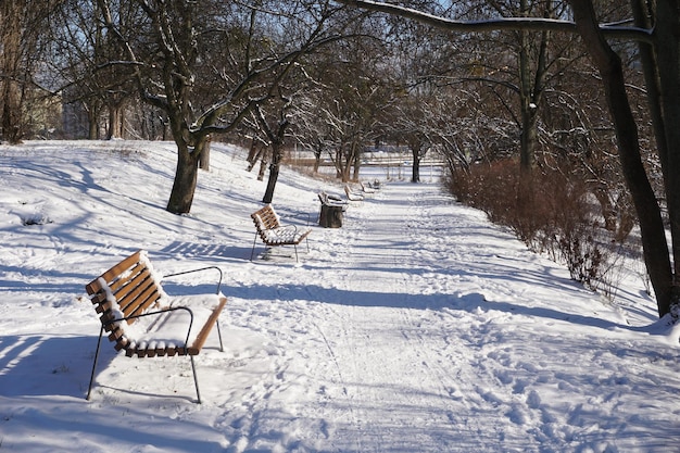 Park in winter at daytime