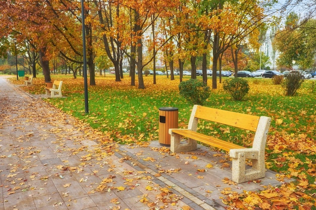 Парк со скамейкой на аллее осенью