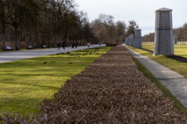 A park with a path and a row of bushes