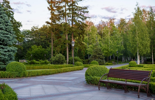 Park with trees and a bench in Mezhyhirya Ukraine