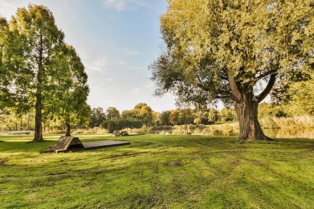 A park with trees and a bench near a lake